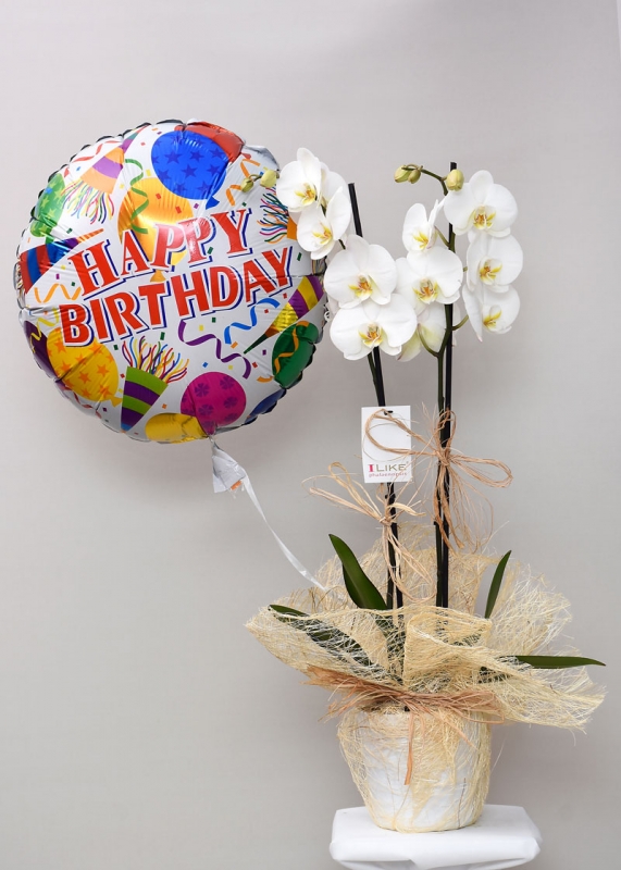 Doğum Günü Orkide Uçan Balon