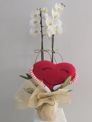 Beyaz Orkide Kalp