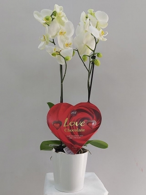 Orkide Kalp Çikolata